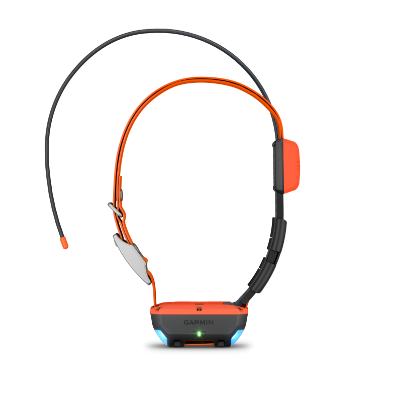 Alpha T 20 GPS Collar