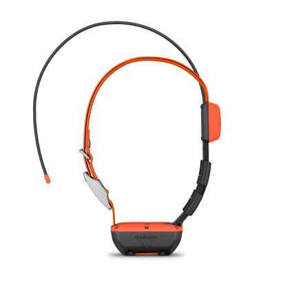 Alpha T 20 GPS Collar