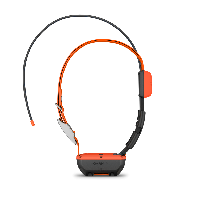 Alpha T 20 GPS Collar