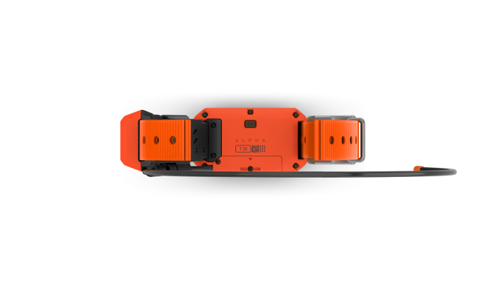 Alpha T 20 GPS Collar