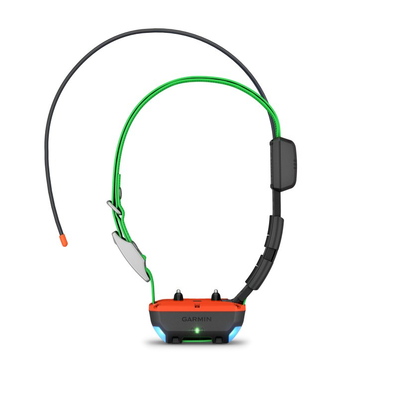 Alpha TT 25 GPS Collar
