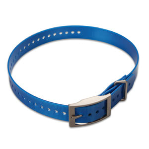 Collar Strap 1″ blue